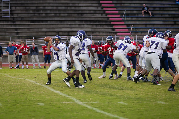 TMD_RVHS_wk7-1102
