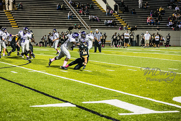 TMD_RVHS_wk6-9262