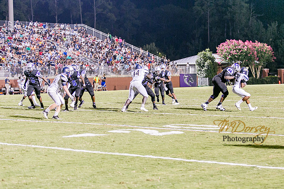 RVHS_2016-0735