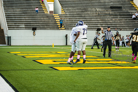 TMD_RVHS_wk6-9140