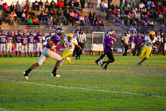TMD_RVHS_wk8-3149