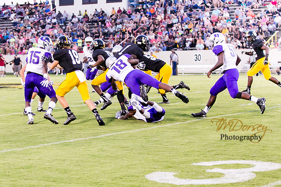 RVHS_2016-3884
