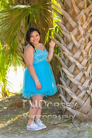 AHS_Prom_2014-1831_pc