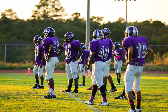 TMD_RVHS_wk8-3137