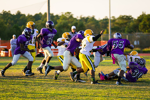 TMD_RVHS_wk8-3095
