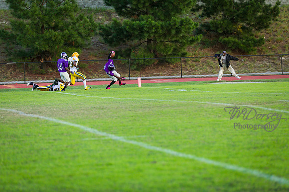 TMD_RVHS_wk8-3195