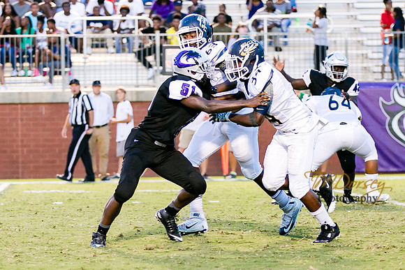 RVHS_2016-0165