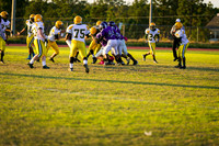 TMD_RVHS_wk8-3060