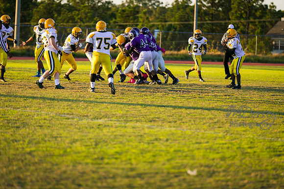 TMD_RVHS_wk8-3060