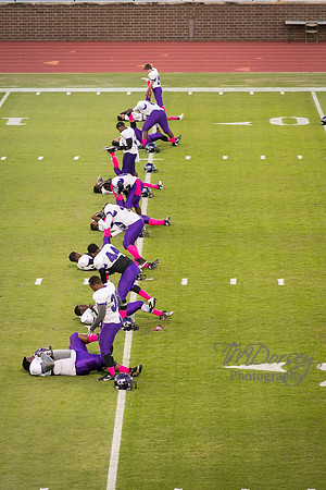 TMD_RVHS_wk8-4367