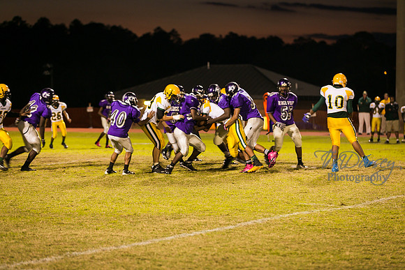 TMD_RVHS_wk8-3441