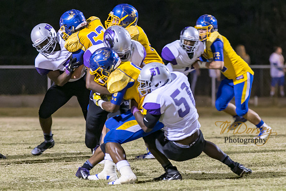 RVHS_2016-3487