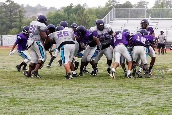 TMD_RVHS_2014-3644