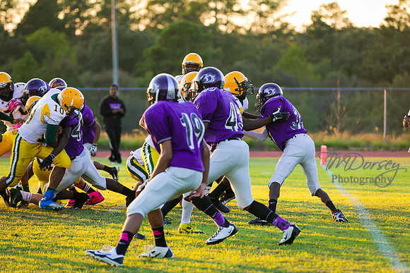 TMD_RVHS_wk8-3140