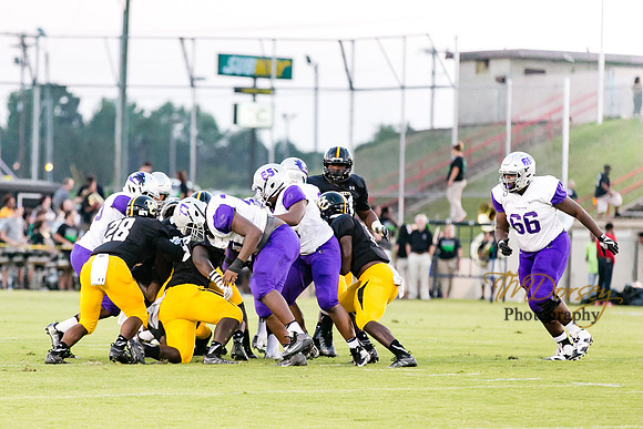 RVHS_2016-3834