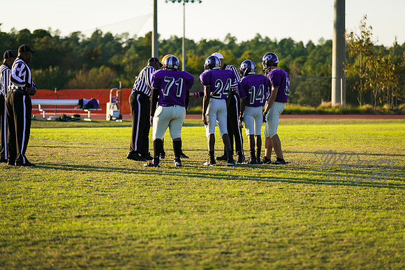 TMD_RVHS_wk8-3018