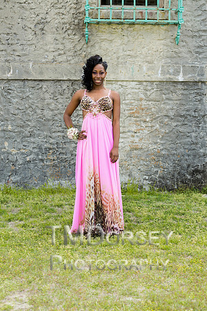 AHS_Prom_2014-1650_pc