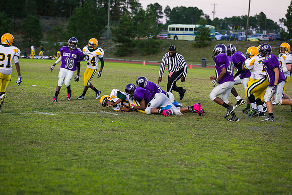 TMD_RVHS_wk8-3277