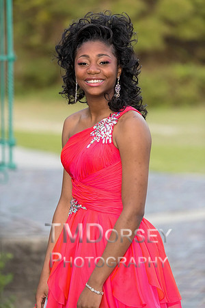 AHS_Prom_2014-1995_pc