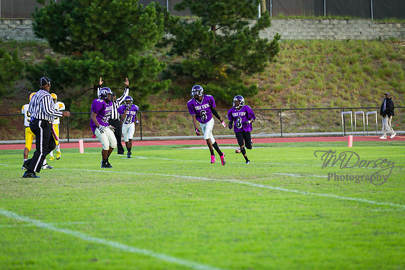 TMD_RVHS_wk8-3199