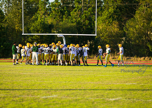 TMD_RVHS_wk8-3019