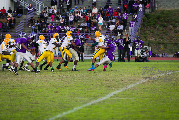 TMD_RVHS_wk8-3242
