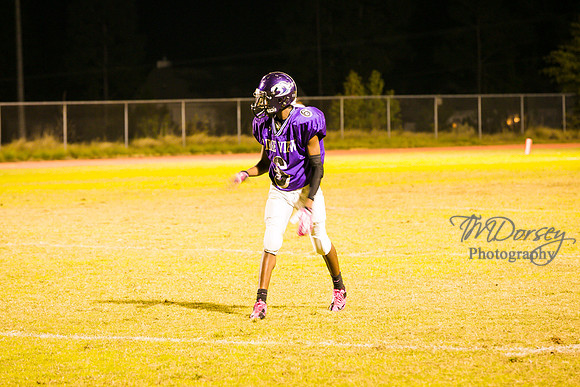 TMD_RVHS_wk8-3524