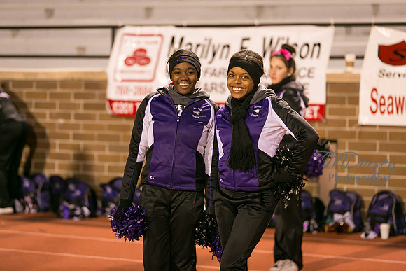 TMD_RVHS_wk8-4833